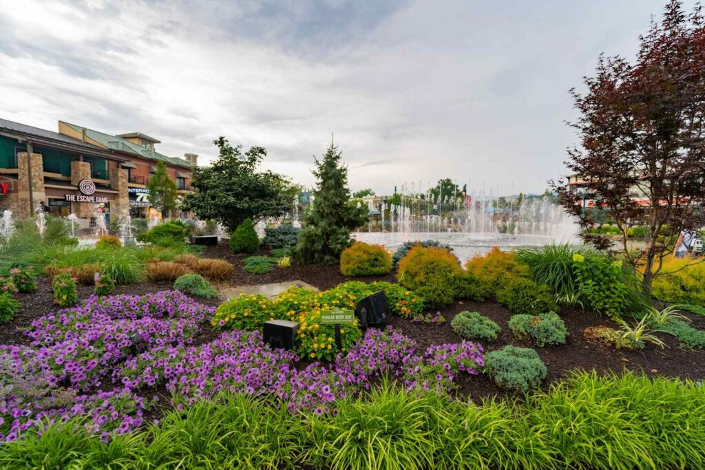 Landscape at The Island at Pigeon Forge