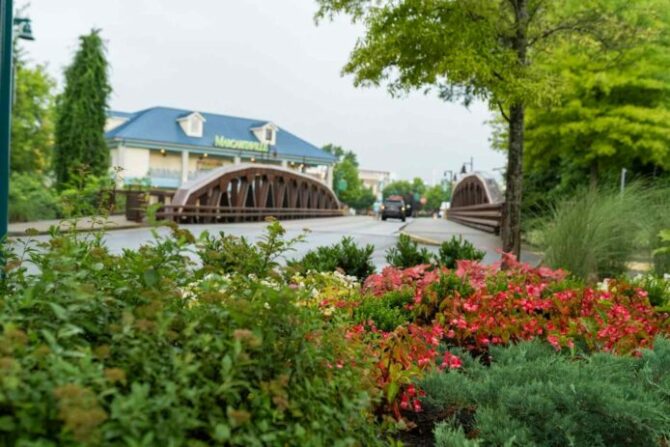 bridge at the island