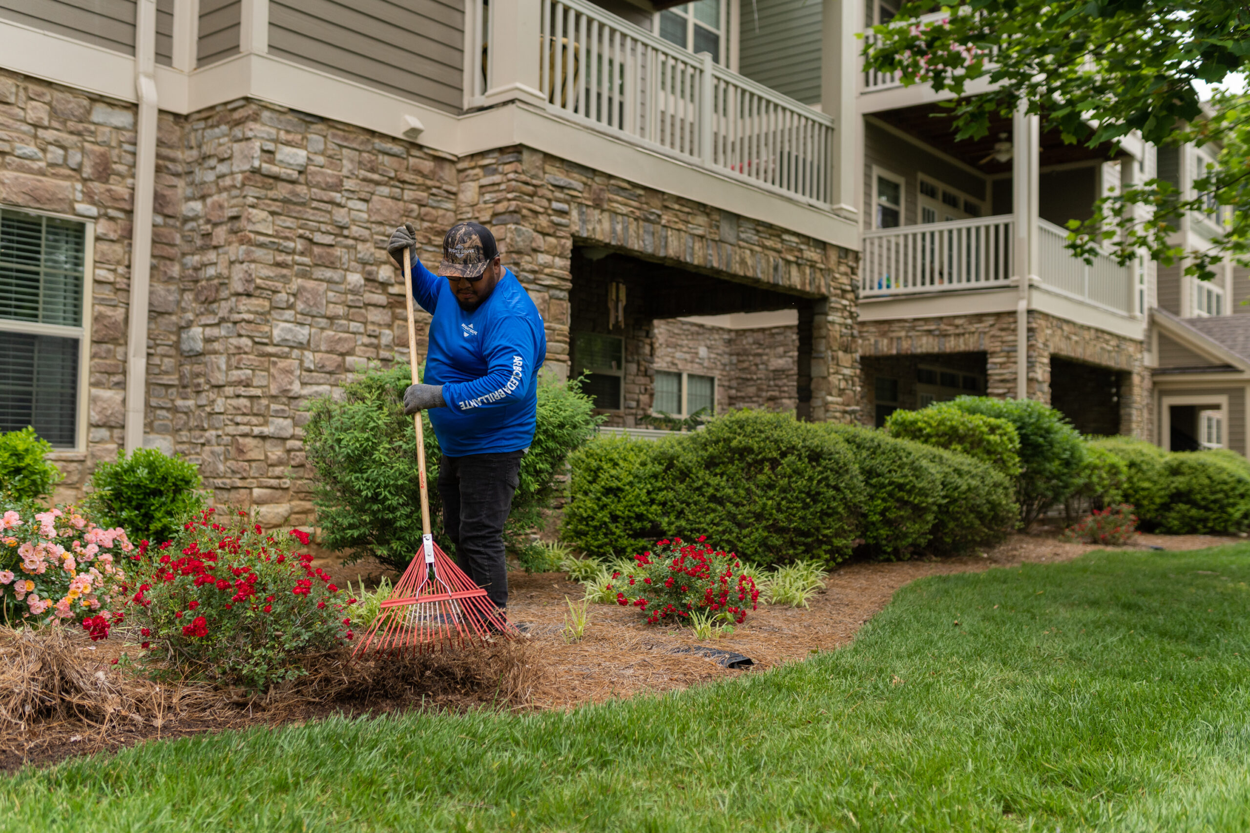 crew raking pinestraw