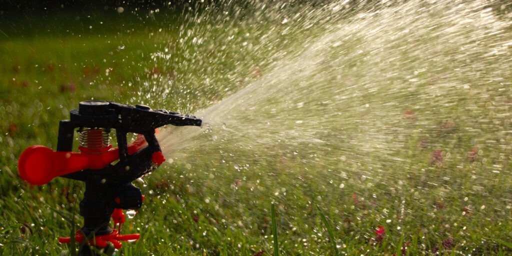 how often to water lawn