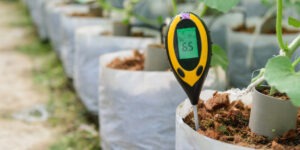 how to ph test soil at home