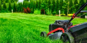 ideal grass height for mowing