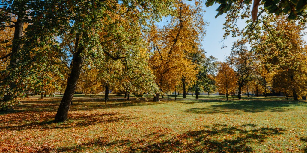 fertilizing grass in the fall