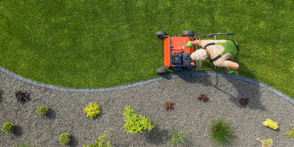 summer lawn treatment