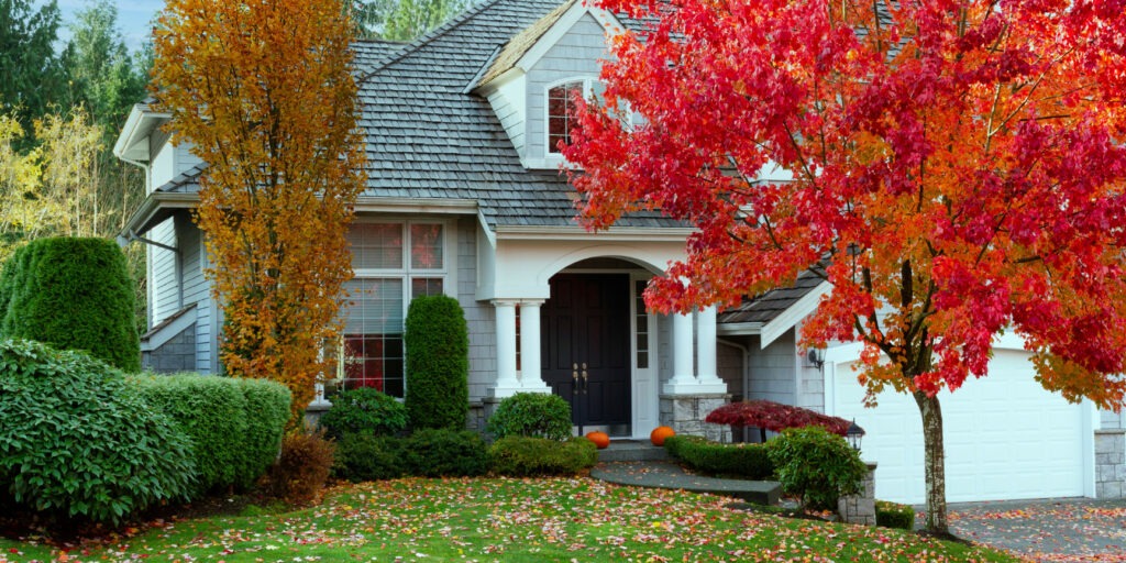 fall yard cleanup