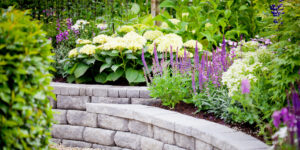 sustainable landscape design